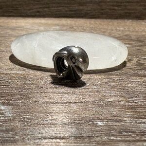 Silver Dolphin Charm Pandora